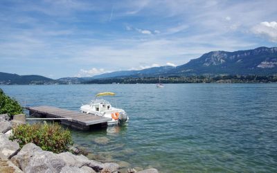 1681558_apidae-sheet-gallery-main