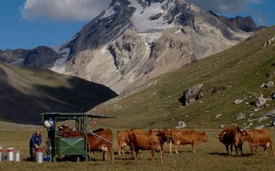 1pnv000195-PN-Vanoise-BOUCHE_Michel-900px