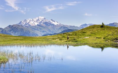 31306892_10156252277718162_4080259668964802560_n