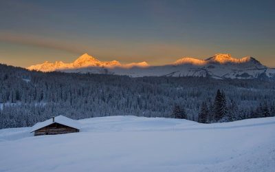 472211200_10162487817308162_7804061001376523786_n