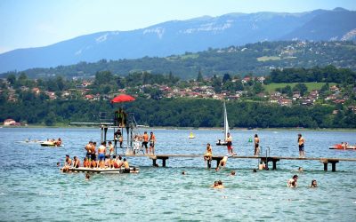 5340108a-4dc2-4705-9cb6-301378c41590