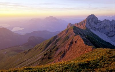 7a3523faa2f068b83162734dae04b26c