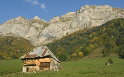 8719907ac5584d0d80731bbb031fab0a