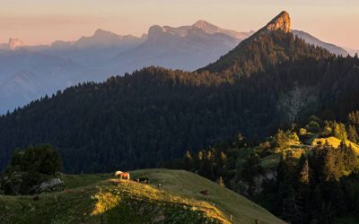 Template-article-1620-x-1080-px-12