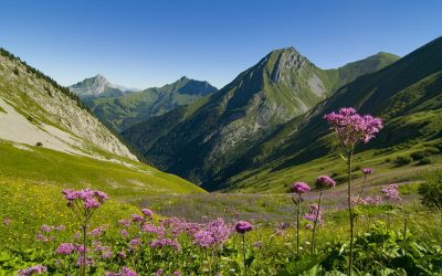 alphasia-2008-08-03-bauges07-1745x982