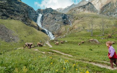 alphasia-dscf5581-1745x982