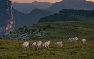 chartr-l_alpe_vachescopyrightfrederic-pattou-e1510751678360