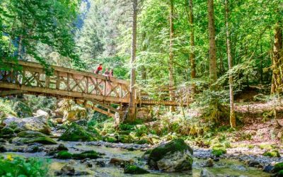 cirque-saint-meme-chartreuse-tourisme-agence-les-conteurs-43-640x640