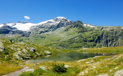 shutterstock_478516264-2-2-1000x576